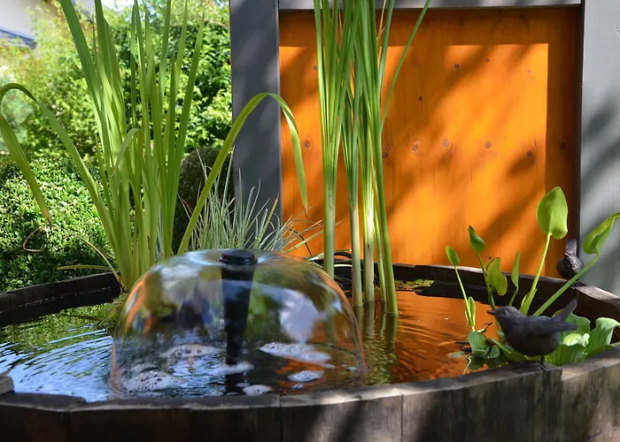 Stuelb 泽汀恩拉蒂